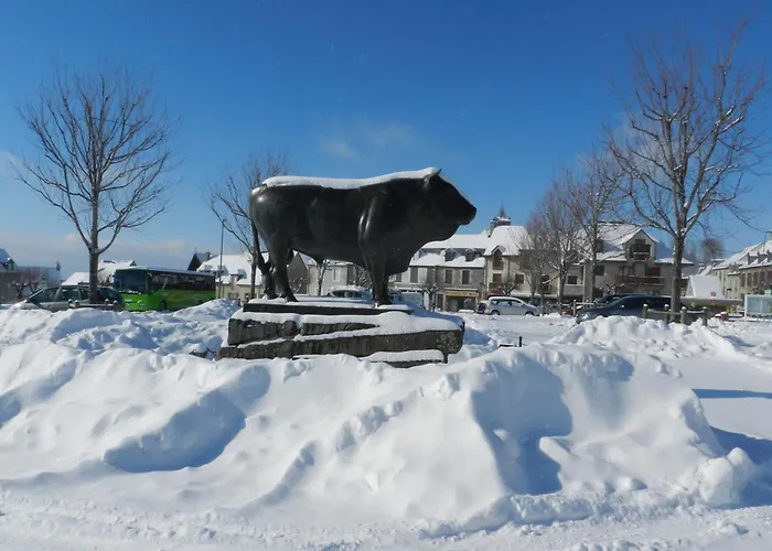 Appart'aubrac Διαμέρισμα