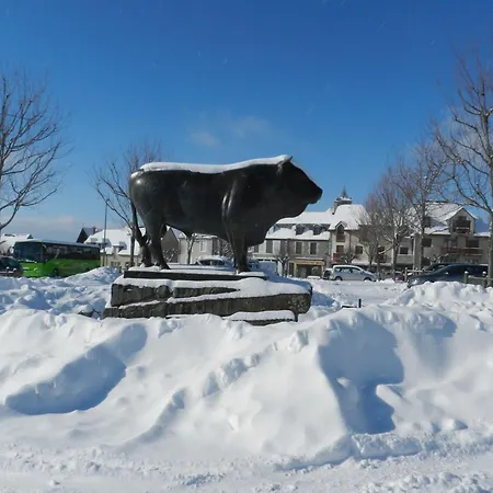 Appart'aubrac アパート